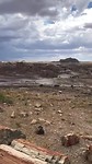 Petrified Forest