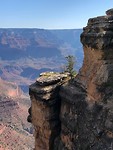 in de canyon