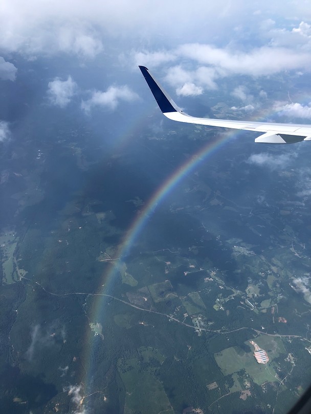 regenboog
