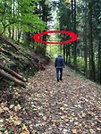 landschaftstherapeutische weg