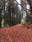 herfst
