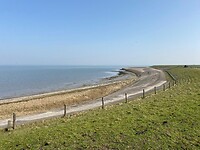 op het wad
