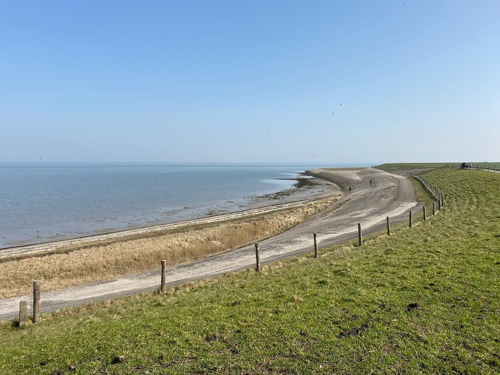 op het wad