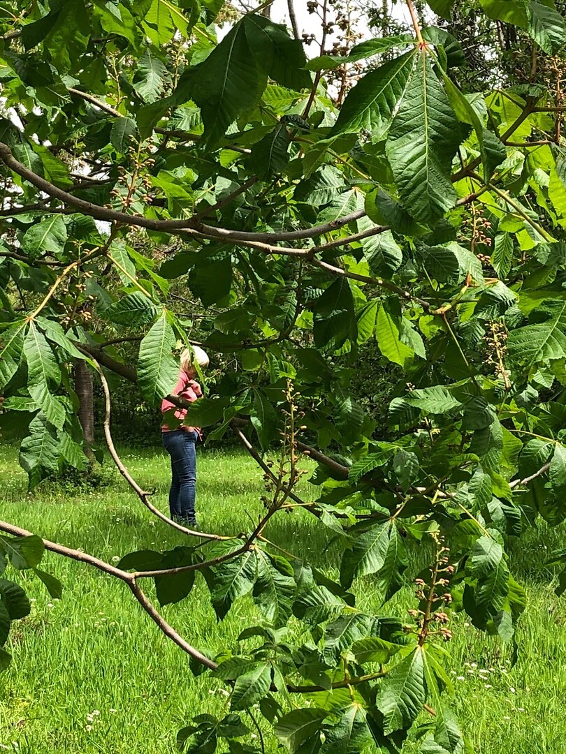 onderweg