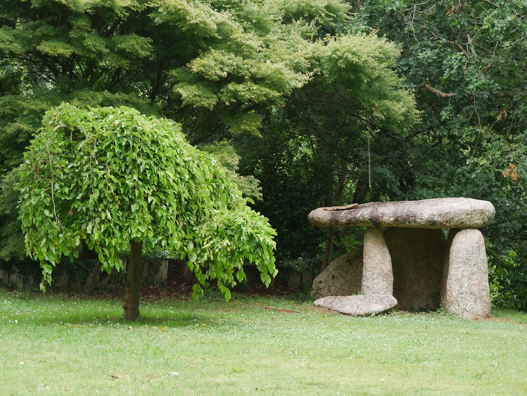 Dolmen op de camping