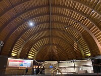 Dinomuseum