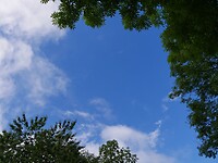 Blauwe lucht!