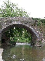 Potes