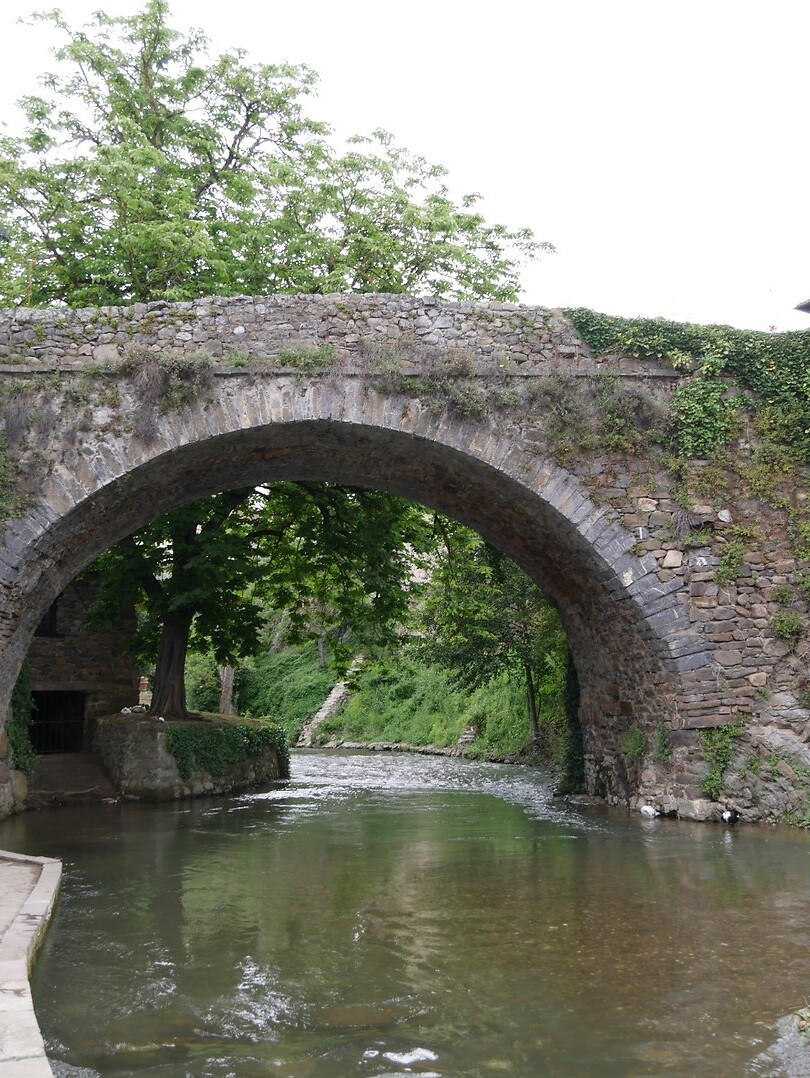 Potes