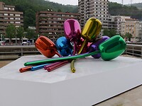 Tulpen