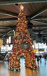 Schiphol
