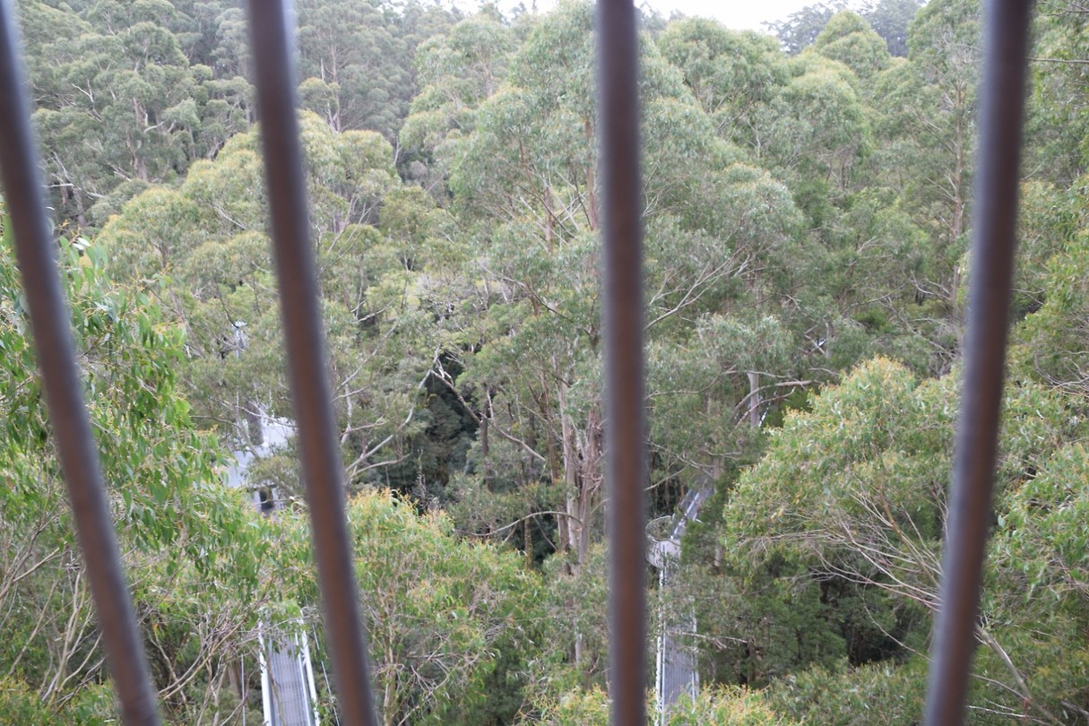 DSC_0120