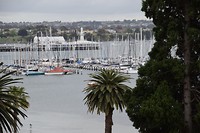 DSC_0032