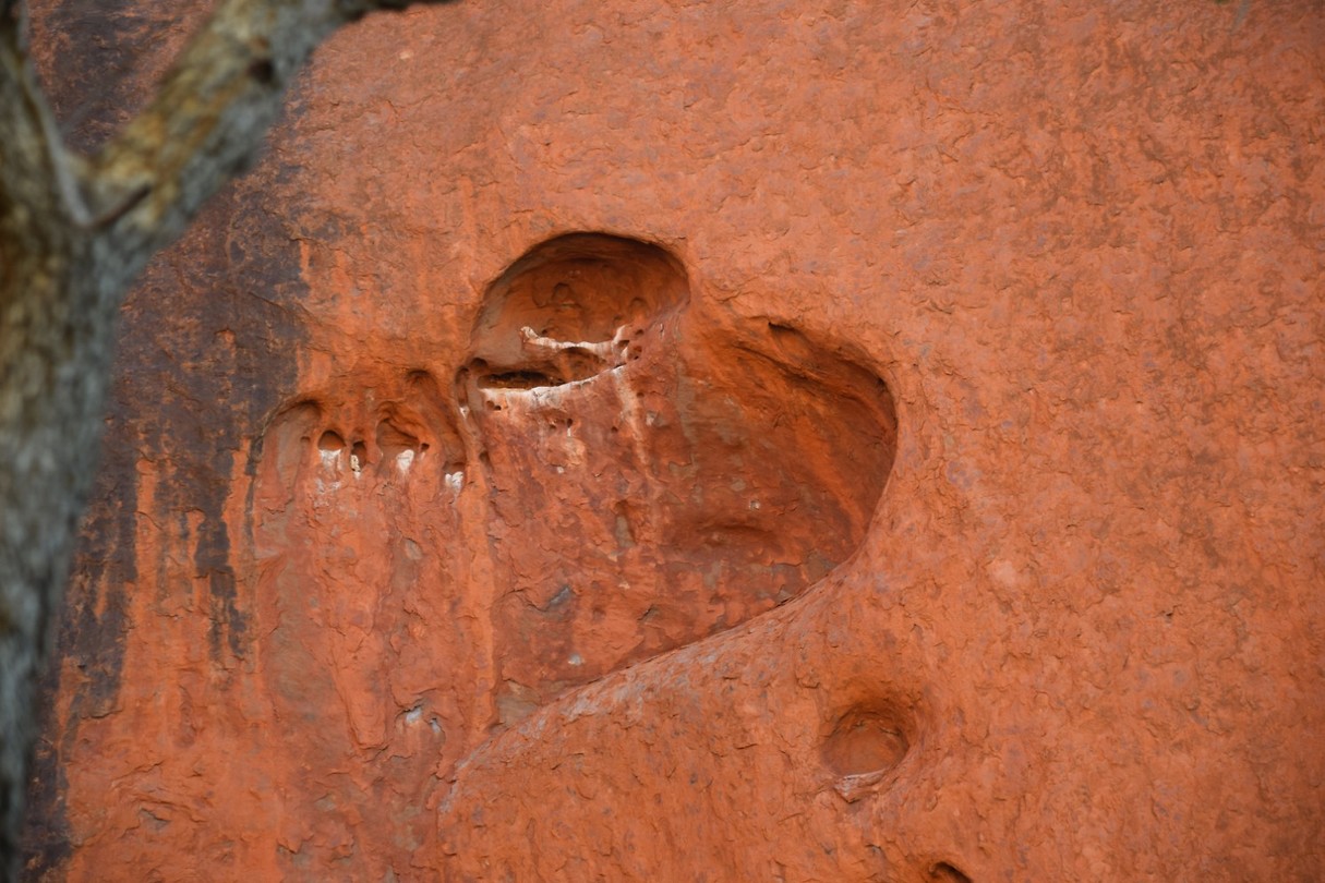 DSC_0294