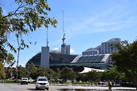 DSC_0335