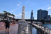 DSC_0342