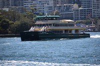DSC_0362