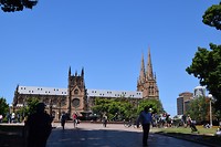 DSC_0413