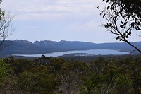 DSC_0662