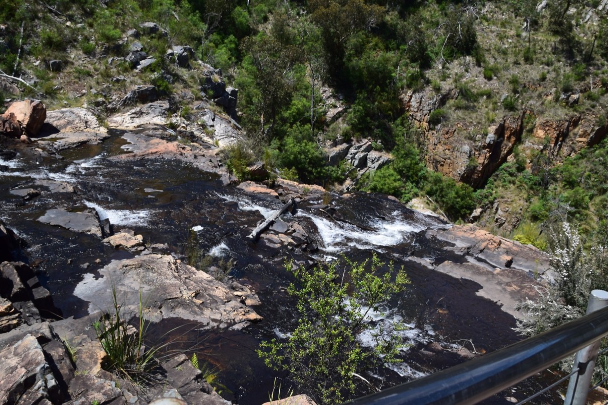 DSC_0677