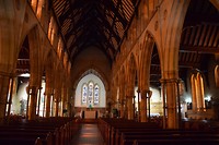 DSC_0889
