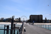 DSC_0944