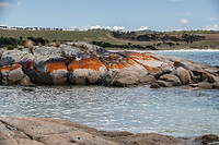 Bay of Fires