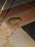 20180102_225636