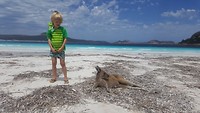IMG-20180103-WA0001