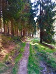 IMG_4833