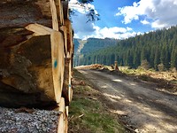 IMG_4835