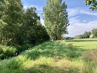 Langs de Tungelroyse beek