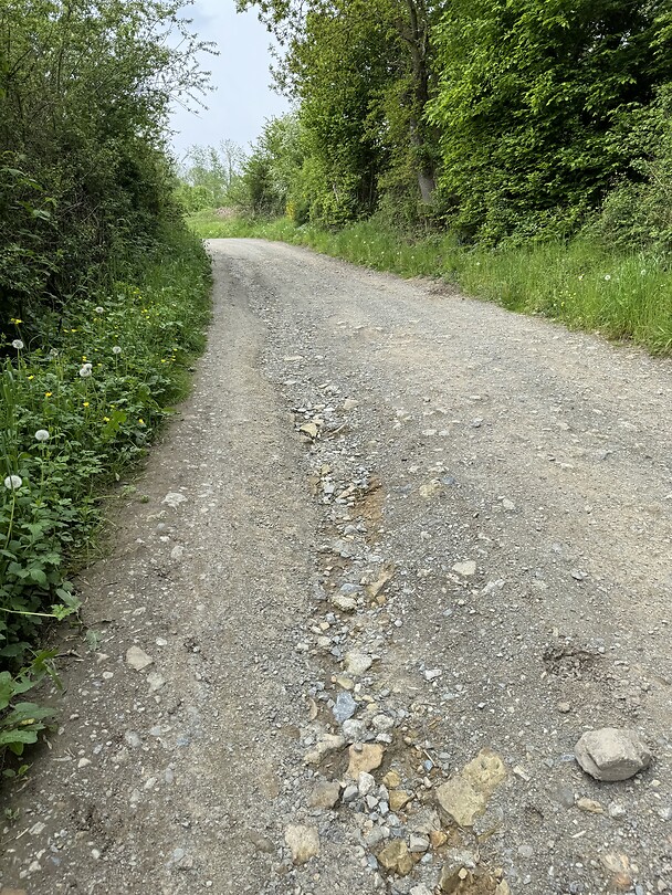 Wandelpantoffels aan en de paden op ..🚶‍♀️🚶‍♂️🚶🏻🥾