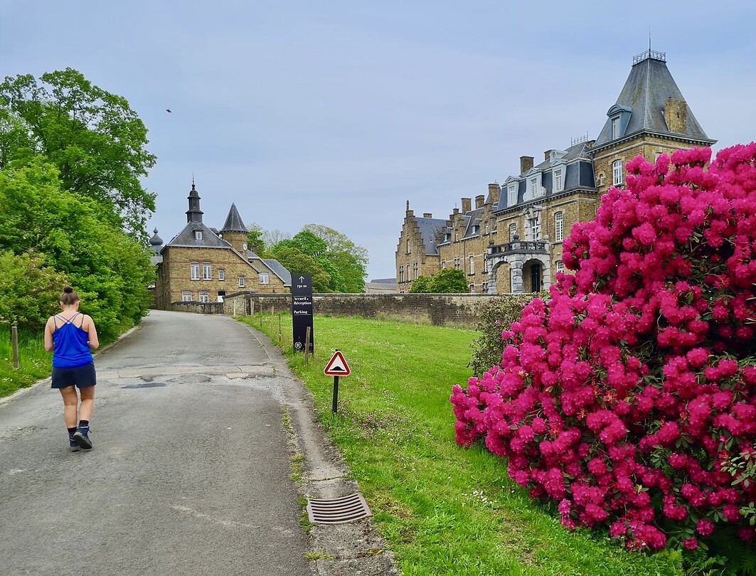 ‘Ons’ kasteel, met megagrote rhododendron