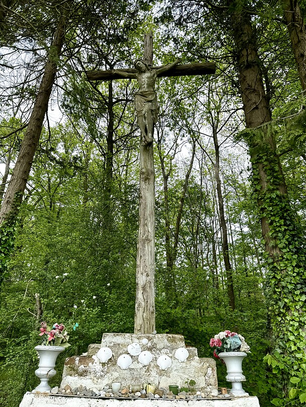 Jezus in het bos 🌳