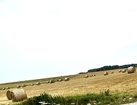 Graanschuur Duitsland