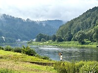 Elbe view