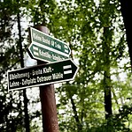 Which way to go?