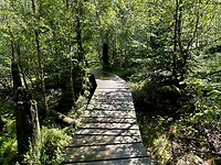 Knuppeltjesbruggen, ook hier 🤪