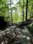 Rocky roads