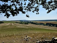 View op Rosenthal