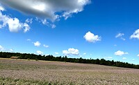 Purple field…
