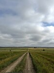 Dirtroad…., maar hier zijn we naar paar kilometer toch maar omgedraaid