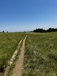 Prairie-hike in Custer SP