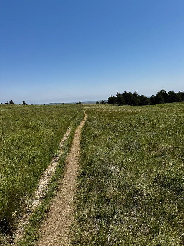 Prairie-hike in Custer SP