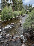 Fly fishing