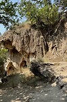 Caves