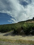 Appels in apple capital Wenatchee