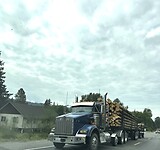 Timber