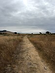 Beachwalk